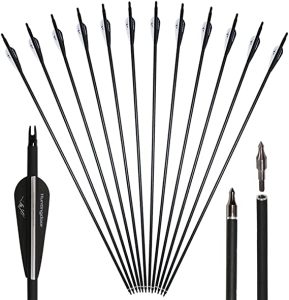 Huntingdoor 30″ Archery Carbon Target Arrows