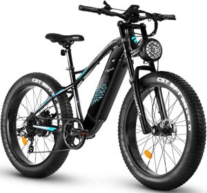 Electric Bike, FREESKY 750W Electric Bike for Adults 